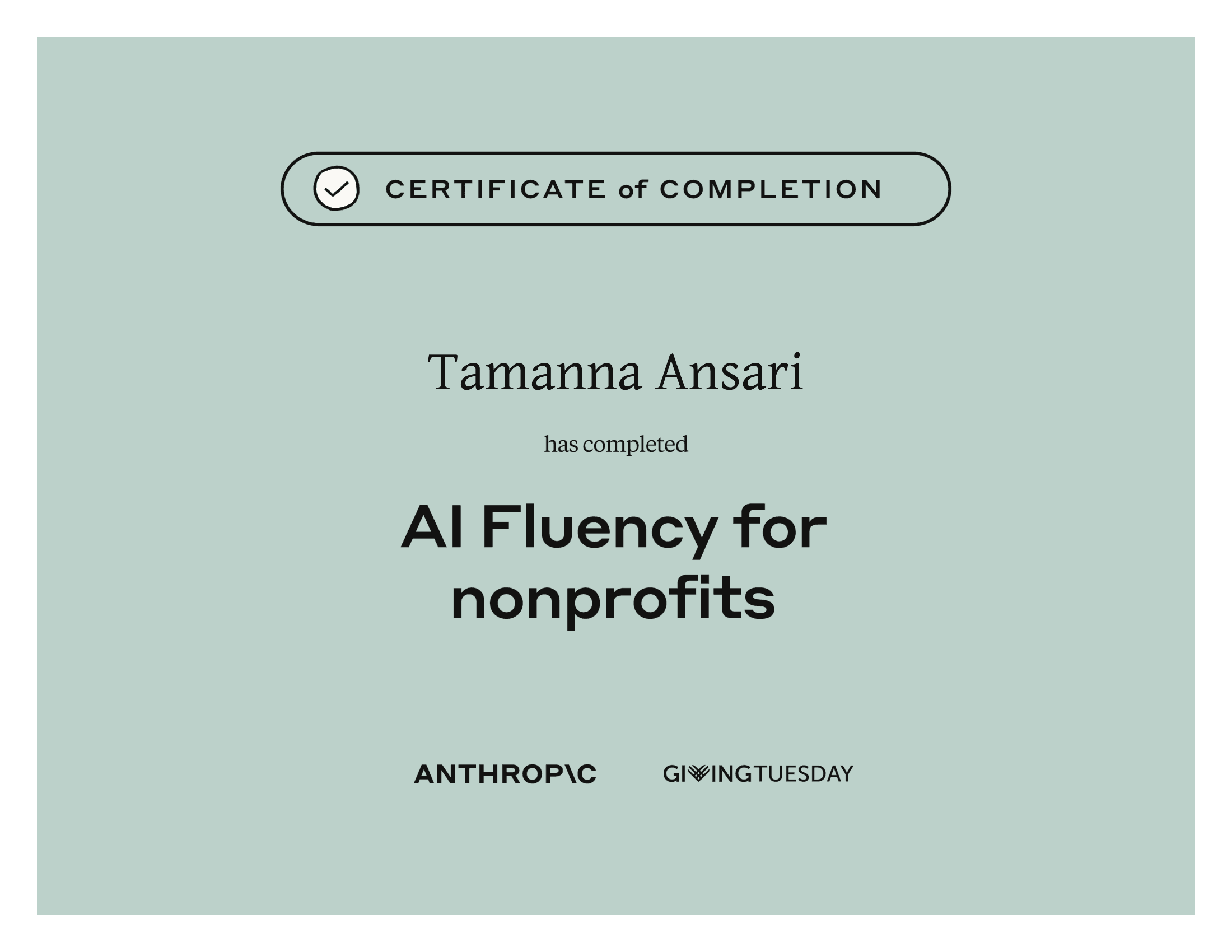 AIFluency for nonprofits